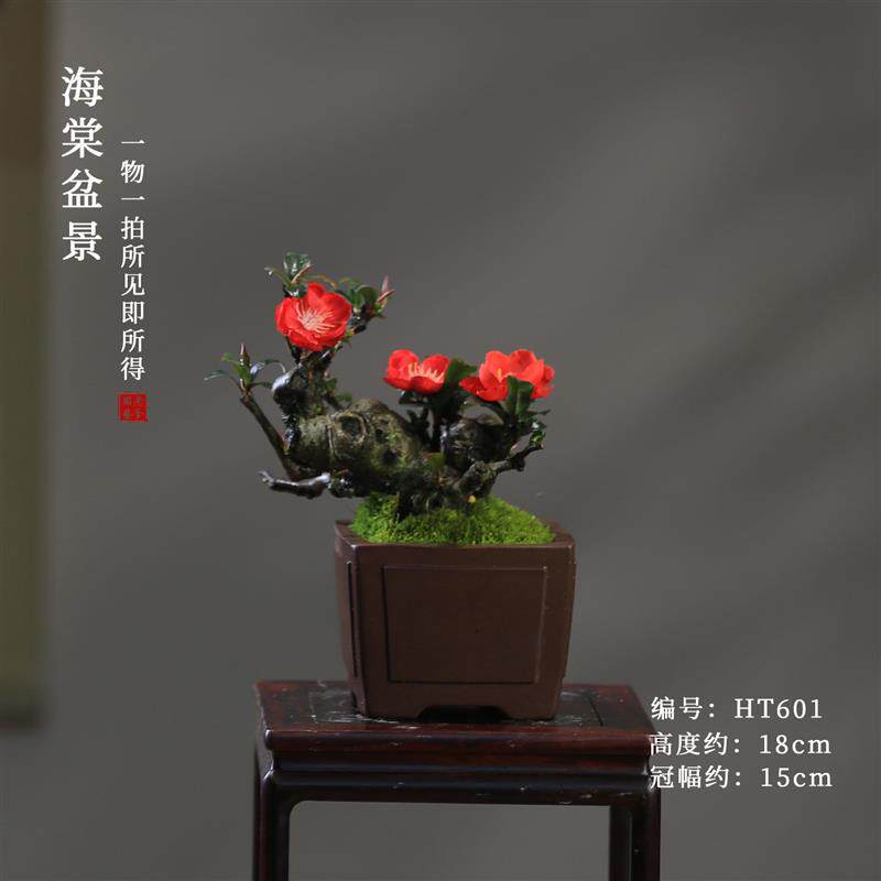 贴梗海棠花盆栽会开花好养易活阳台庭院花卉一物一拍老桩植物盆景
