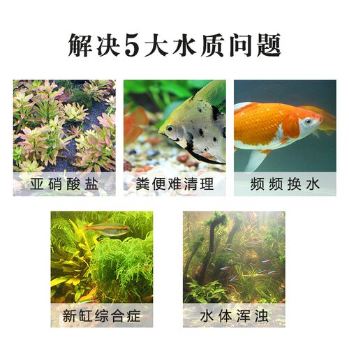硝化细菌鱼缸用龙鱼硝化菌消化细菌净水剂水质稳定剂活菌em除藻剂
