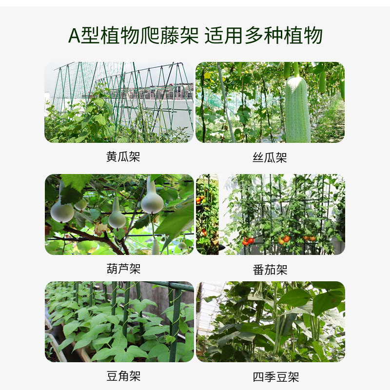种菜搭架子杆爬藤架网茄子架百香果支架黄瓜番茄花藤蔬菜阳台种菜图片