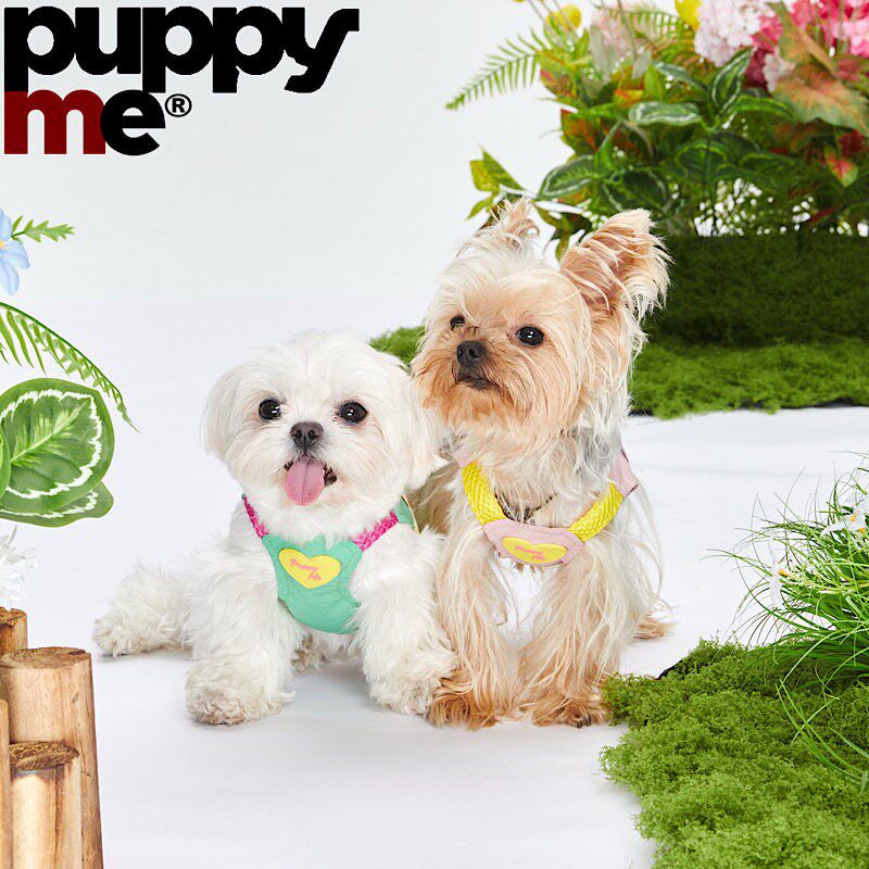 PuppyMe宠物冰丝牵引胸背衣凉凉马甲降温背心夏天狗外出小型犬