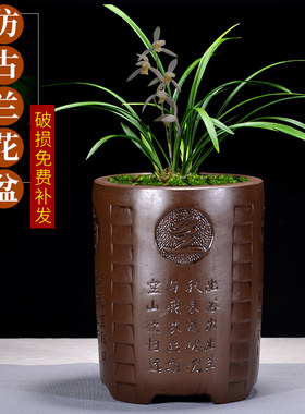 紫砂仿古六方兰花盆君子兰客厅阳台花卉绿植透气中国风陶瓷盆景盆