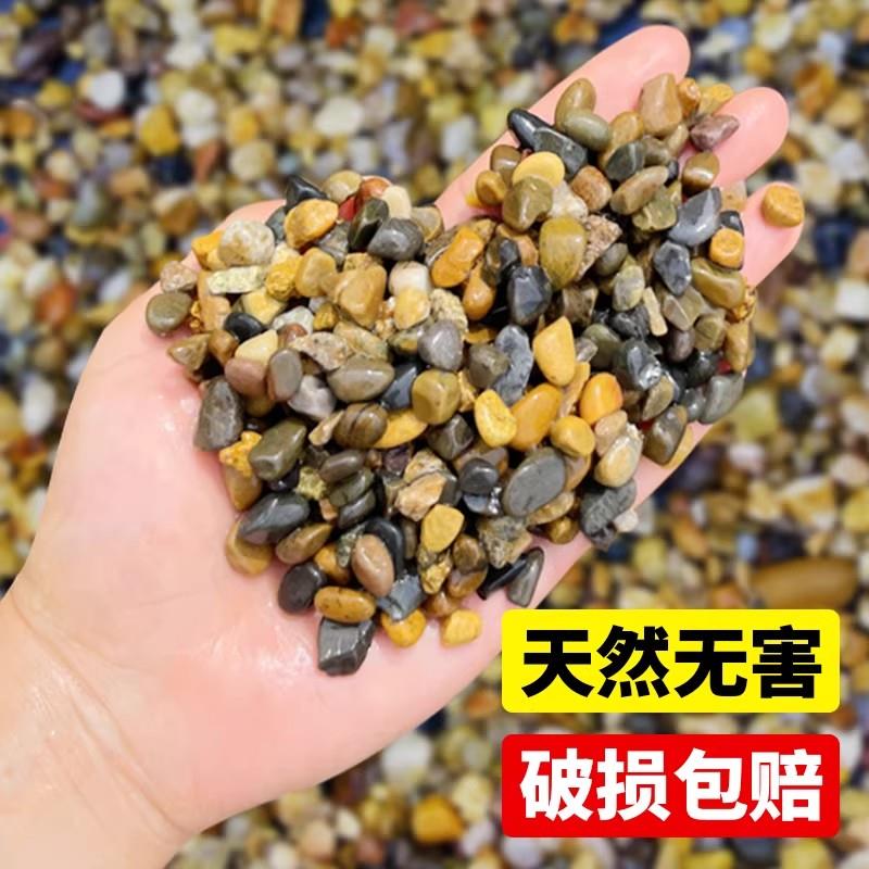 溪流石鱼缸底砂原生溪沙水草缸乌龟缸造景鹅卵石水族箱底部火山石