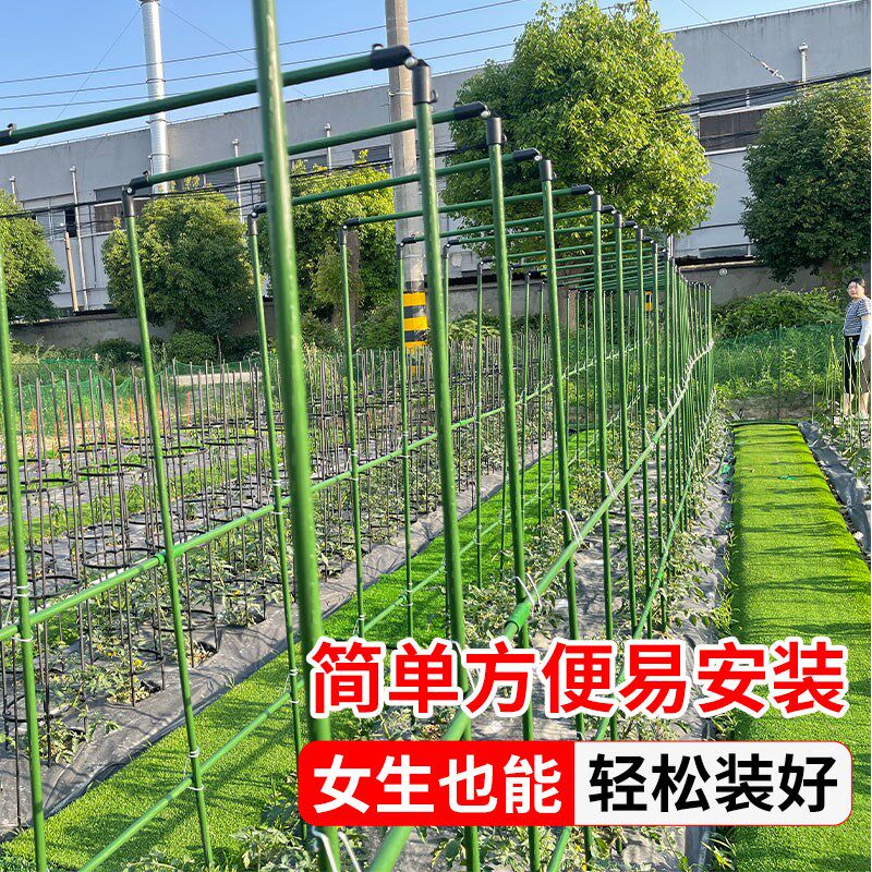 爬藤架葡萄黄瓜豆角架种菜花支架庭院园艺花卉植物支撑杆西红柿架