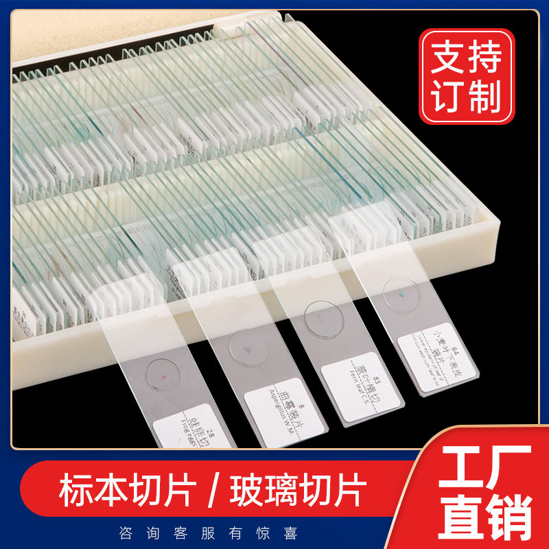 标本片生物显微镜观察标本切片套装动物植物细胞细菌套装载玻片儿