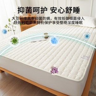家用宿舍软垫床护垫被褥子防滑垫保护垫 大豆夹棉防水隔尿床垫冬季
