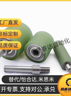 包胶导向滚轮TGRAU TGRSU 2s0 25 30 35 40 50-20/25/30/35/40/50