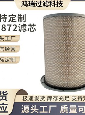 厂家AF872滤芯4913882发电机组船机空气过滤器AF25278 P181099