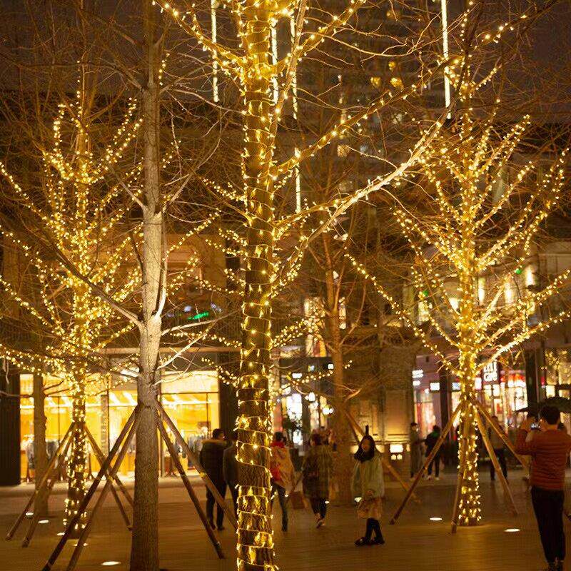户外防水灯串LED彩灯氛围灯满天星绕树灯景观灯庭院氛围装饰串灯