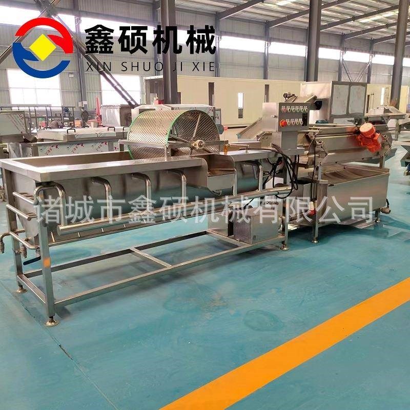 全自动涡流清洗机速冻香菇丁清洗沥水机净菜芹T菜段涡流清洗机