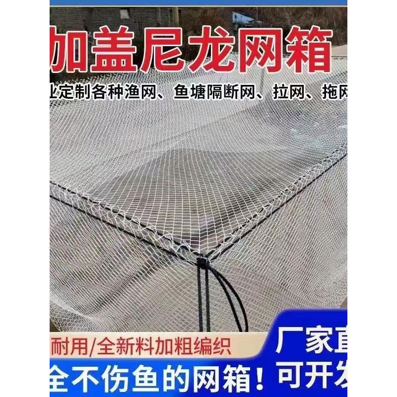 尼龙网箱养殖网箱水产养殖水产隔离网箱养大鱼箱网不伤鱼暂存网箱