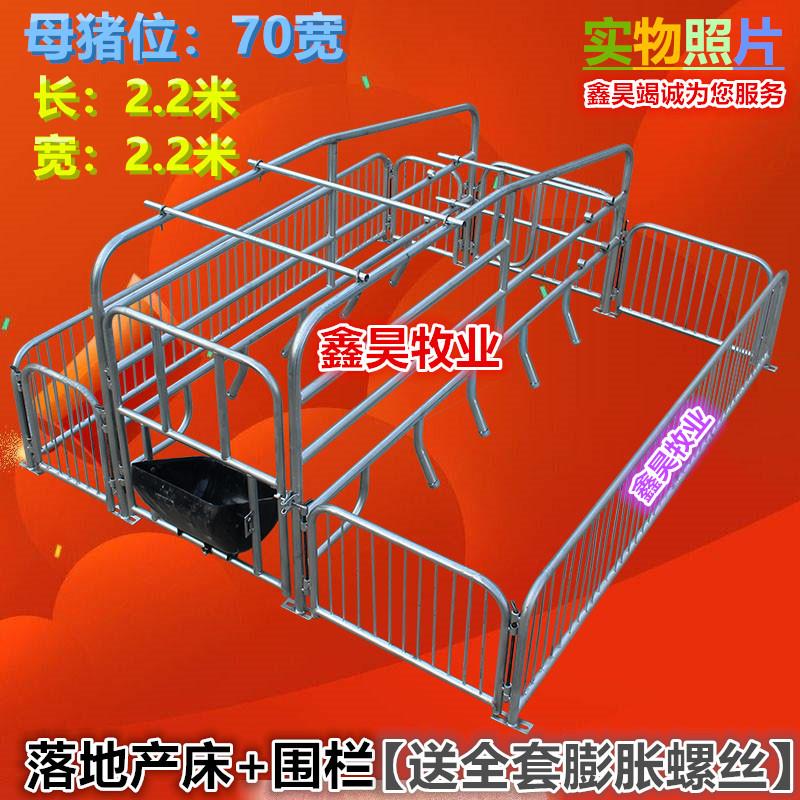 母猪产床 猪产床 加厚2.5仔猪分娩床 全复合定位栏 单双体保育床