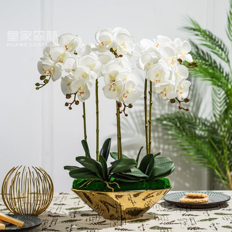 高端仿真蝴蝶兰花假花卉插花艺室内客厅桌面前台摆件装饰摆设盆栽
