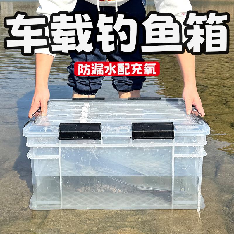 车载活鱼箱钓鱼桶大号后备箱野钓装鱼运输箱密封防漏加厚收纳水桶