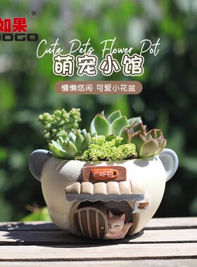 ROOGO如果创意小动物多肉树脂花盆家居园艺庭院景观绿植盆栽摆件