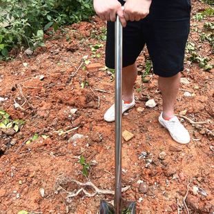 大铲户外挖土不锈钢铁锹家用铁锨种花植树野菜园艺工具食堂炒菜铲