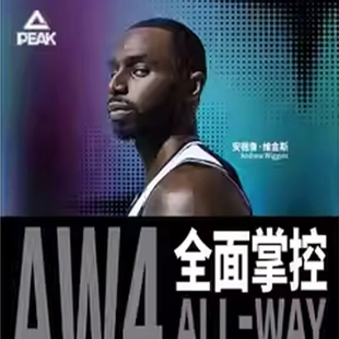 匹克态极维金斯AW4代篮球鞋专业实战球鞋低帮减震比赛碳板运动鞋