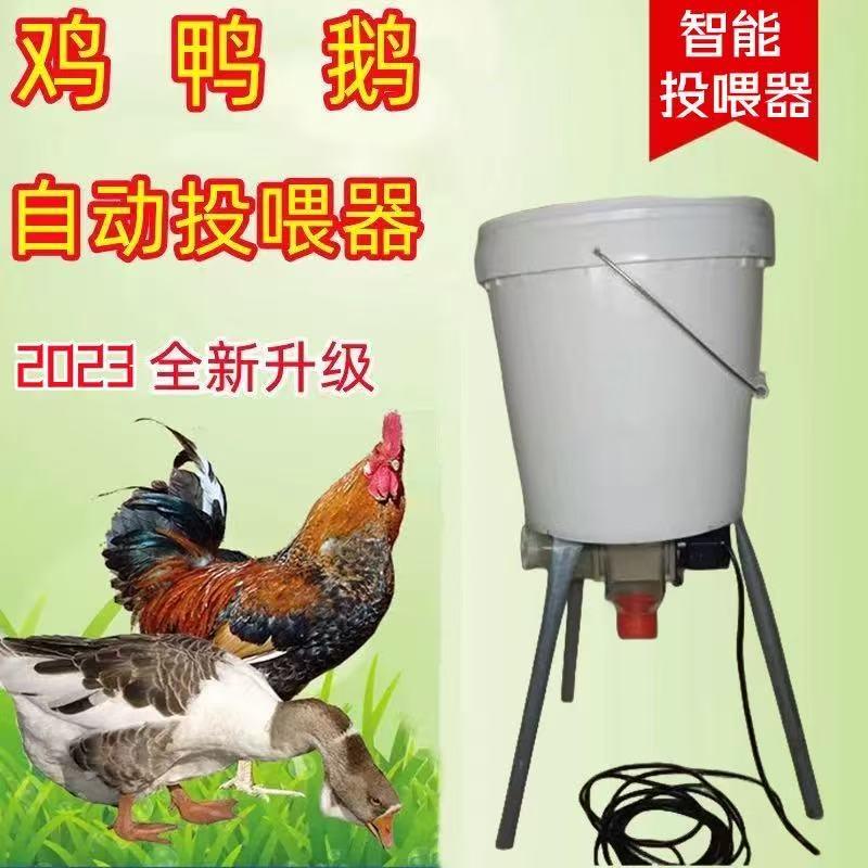 鸽子喂料玉米220v养鸡喂食器懒人自动定时远程下料盒家禽喂食器