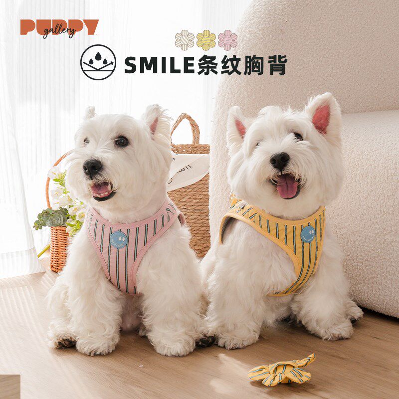 韩国puppygallery花朵条纹胸背狗狗牵引绳背心式宠物猫咪小型犬