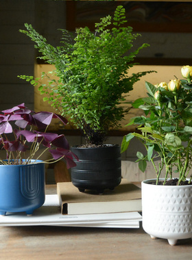 陶瓷简约圆形花盆家居室内桌面多肉绿萝虎皮兰创意小花器阳台客厅