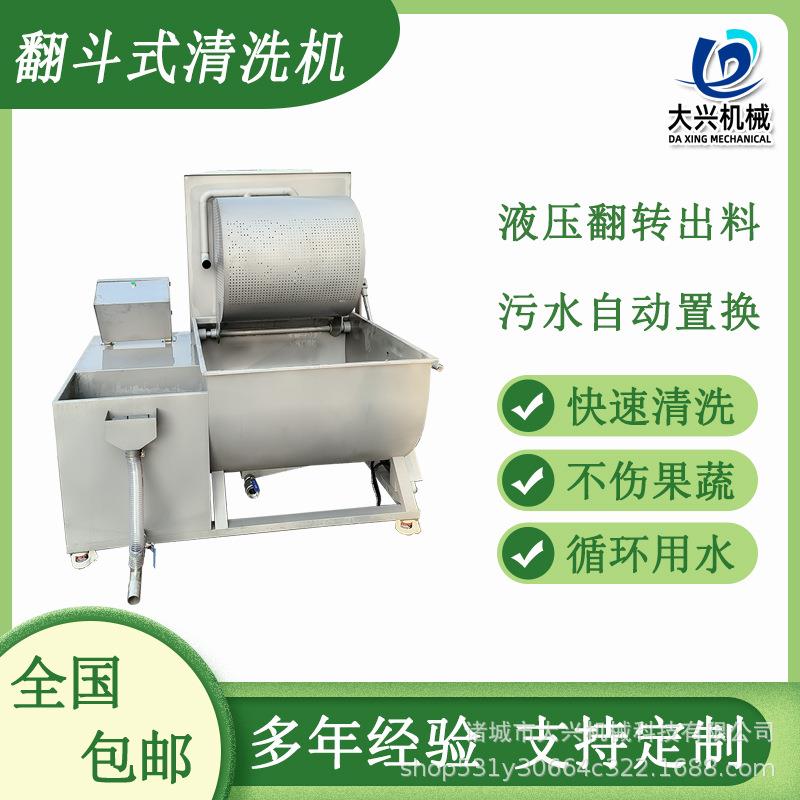 涡流大型翻斗清洗机青菜西红柿小番茄多功能万能洗菜机洗鱼肉机
