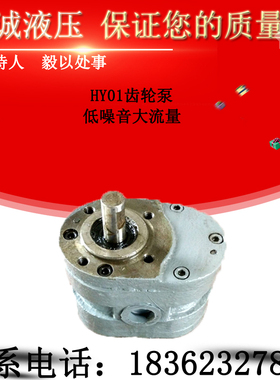 HY01-8X15 12X20 25X25 18X25 100X25齿轮油泵T液压润滑泵磨床CBJ