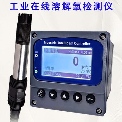 溶氧仪含好探头溶氧检测仪电极检测仪量溶解氧量仪工业DO氧在线氧