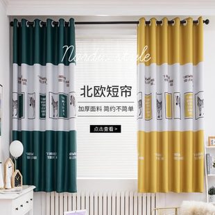 简约现代卡通动漫成品窗帘打孔卧室客厅飘窗遮光隔热 网红挂钩新款