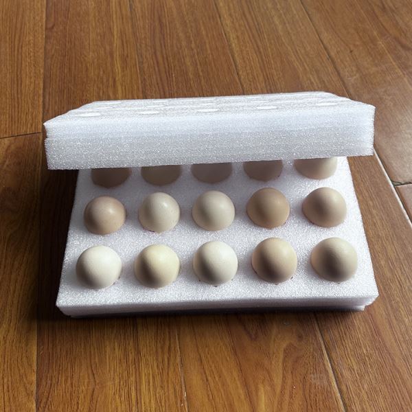 15枚鸡蛋托 珍珠棉泡沫保护套珍珠棉鸡蛋托  鸡蛋包装盒