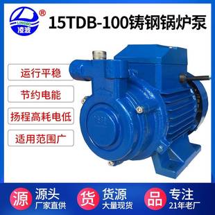 100铸钢耐高温高压旋涡式 阳春牌15TDB 锅炉供水泵家用增压泵