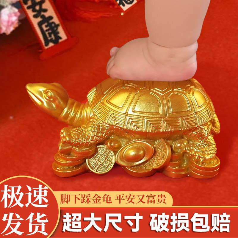 抓周踩金龟道具周岁礼用品套装兔宝宝男女周岁摆件百日仪式布置天