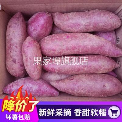 正宗湖北襄阳紫罗兰紫薯新鲜番薯蜜薯板栗红薯沙地地瓜糖心山芋甜