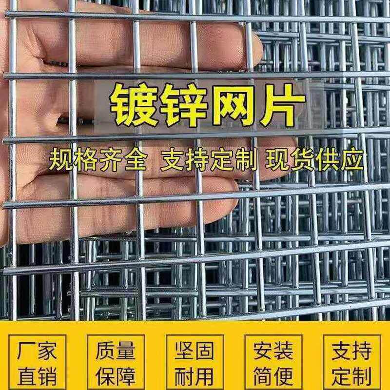 小格铁丝网片鸟笼兔笼鸽舍鸽棚围网镀锌护栏网养殖底网镀锌铁丝网