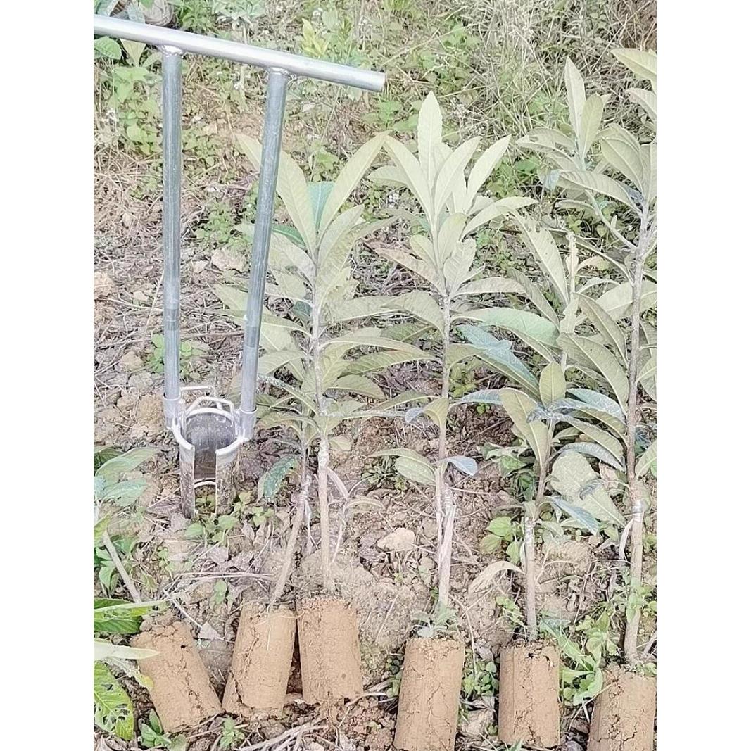 百香果挖树苗不锈钢移苗器双杆大脚蹬果树移栽多功能大口径起打孔