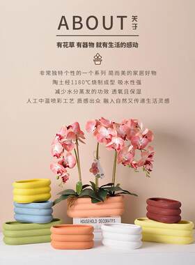 矩形蝴蝶兰花盆陶瓷托盘斯堪的纳维亚休闲多肉Pothos办公室孔小罐
