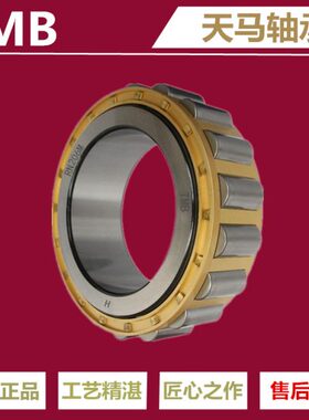 减速机轴承偏心轴承RN307M RN309M RN312M RN328M短圆柱滚子轴承