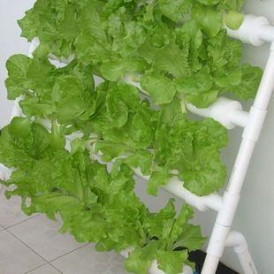 供应立体花架 花盆架子 水培蔬菜 阳台管道无土栽培种植机