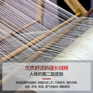 印logo polo衫 定制工作服翻领T恤短袖 工装 工衣团体刺绣企业文化衫