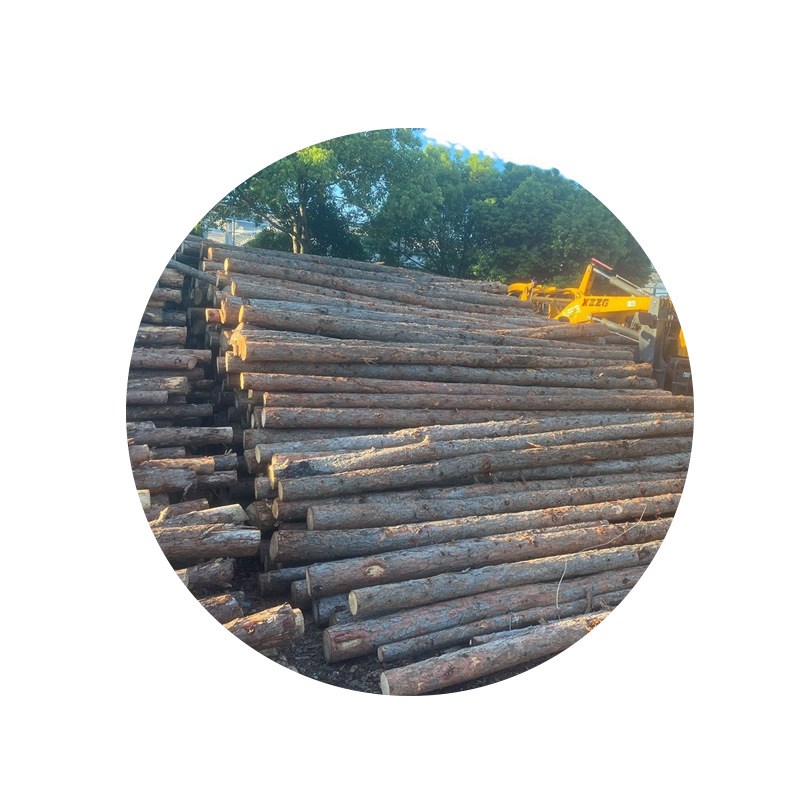 杉木桩原木景观装修装饰木 工地河堤用削尖打桩木桩现货