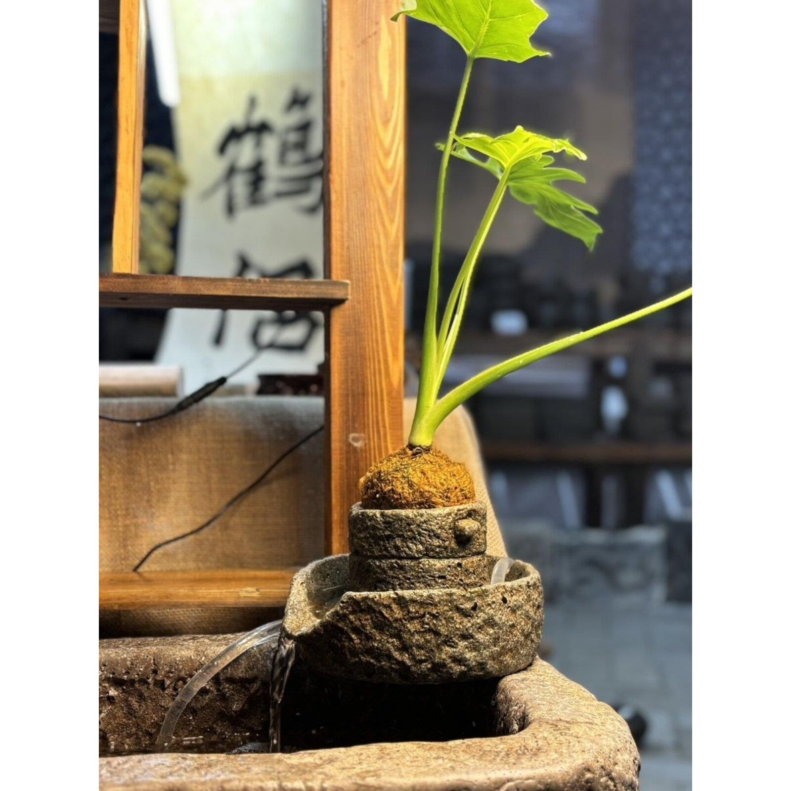 小石磨庭院茶宠古法民宿鱼缸生日礼假山招财流水培摆件客厅水循环