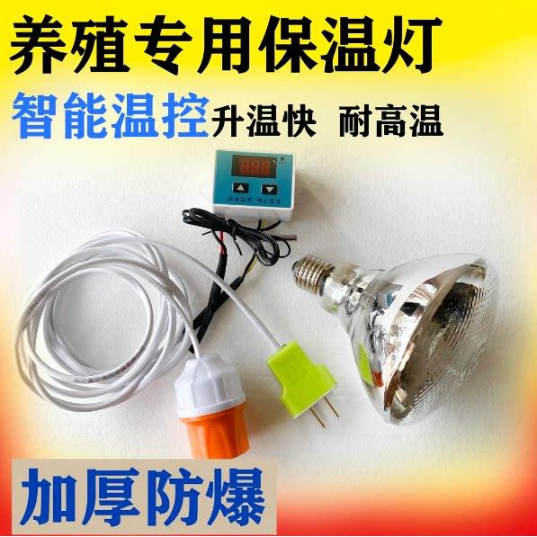 智能温控养殖专用保温灯鸡苗鸭苗雏鹅脱温器小鸡育雏保温灯