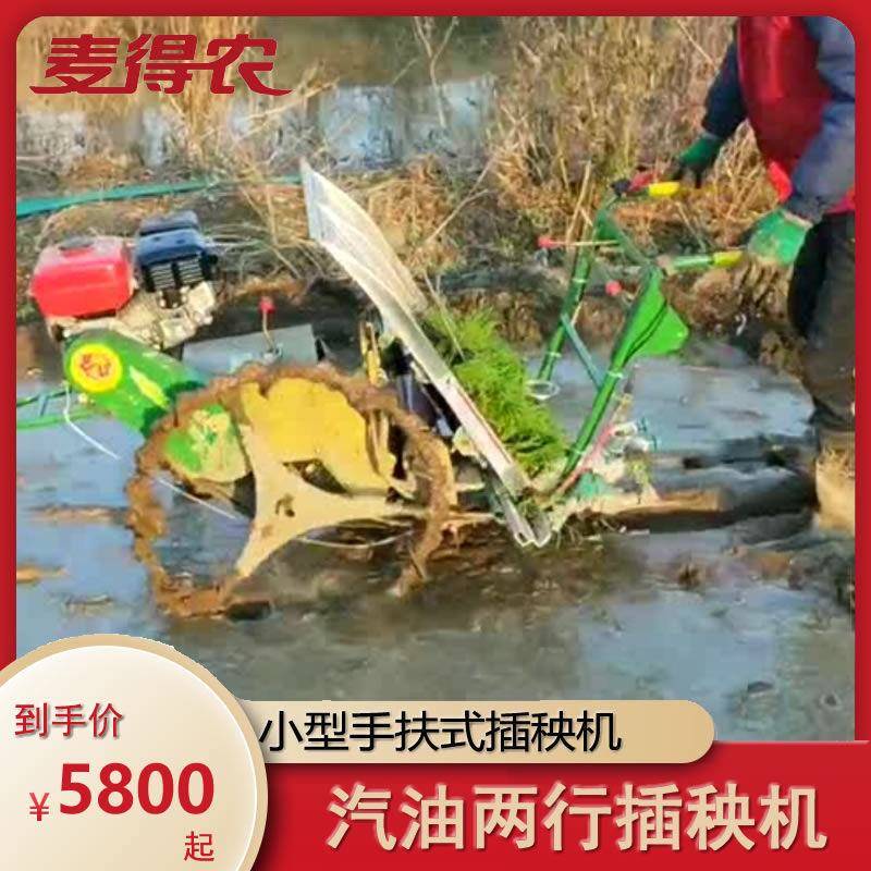 双行汽油新款小型手摇式插秧机插动插秧机农用机械产品水稻播种机