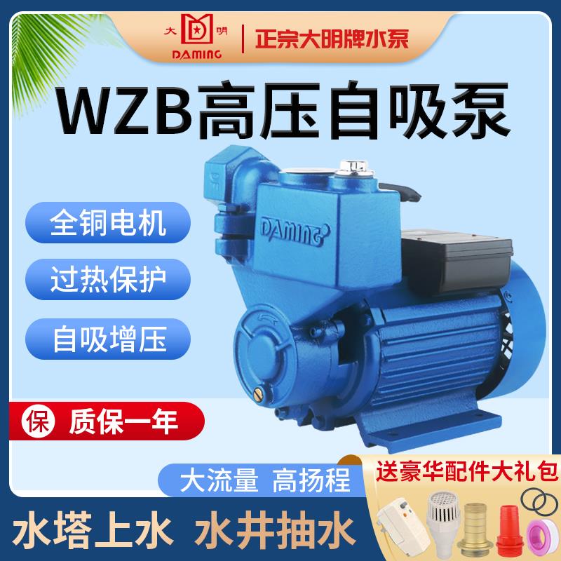 正宗大明牌自吸泵家用管道增压泵循环泵自来水热水器增压泵抽水泵