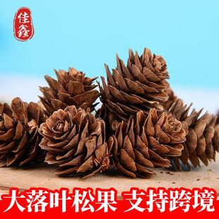 圣诞松果大落叶松果手工DIY工艺品室内灯具装饰挂件拍摄道具