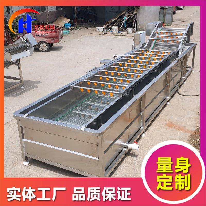 气泡清洗机设备全自动茭白清洗机蕨菜果蔬清洗机设备可咨询
