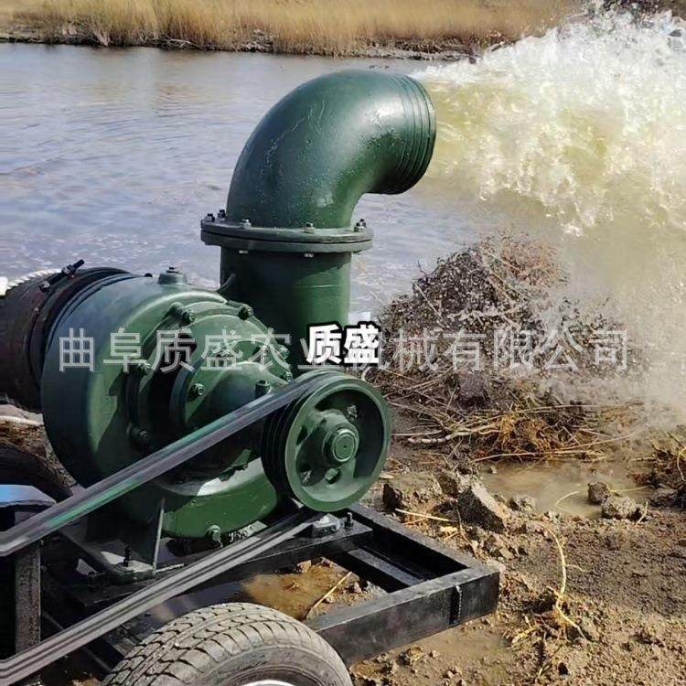 12寸园林果园茶园移动式拖车离心泵工厂工程排水倒水泵全铜电机,五金/工具,水泵,淘宝优惠券,粉丝福利购,淘宝优惠卷