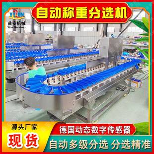 全自动猕猴桃分选机料盒师冬枣无花果分级机芒果草莓柿子分拣机