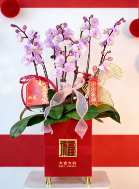 花加银柳冬青真花鲜枝红色招财年宵花喜庆室内客厅装饰干花束花卉