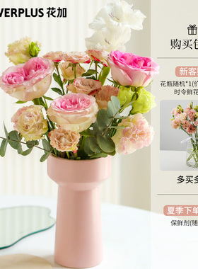 花加flowerplus甄选初见新手进阶订阅鲜花混合花每周一花包月鲜花