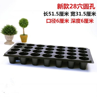 穴盘育苗盘 育苗盒器苗木多肉育苗箱育苗盆托盘营养钵育苗杯包邮