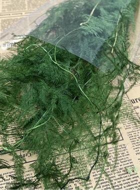 设计插花材料永生干花文竹深绿色树枝花艺配草婚礼橱窗装饰布置